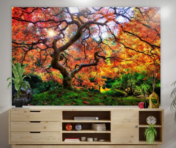 Aksen Dinding dengan Tapestry Berwarna-warni